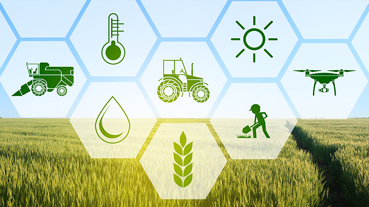 Tecnologia e Drones na Agronomia